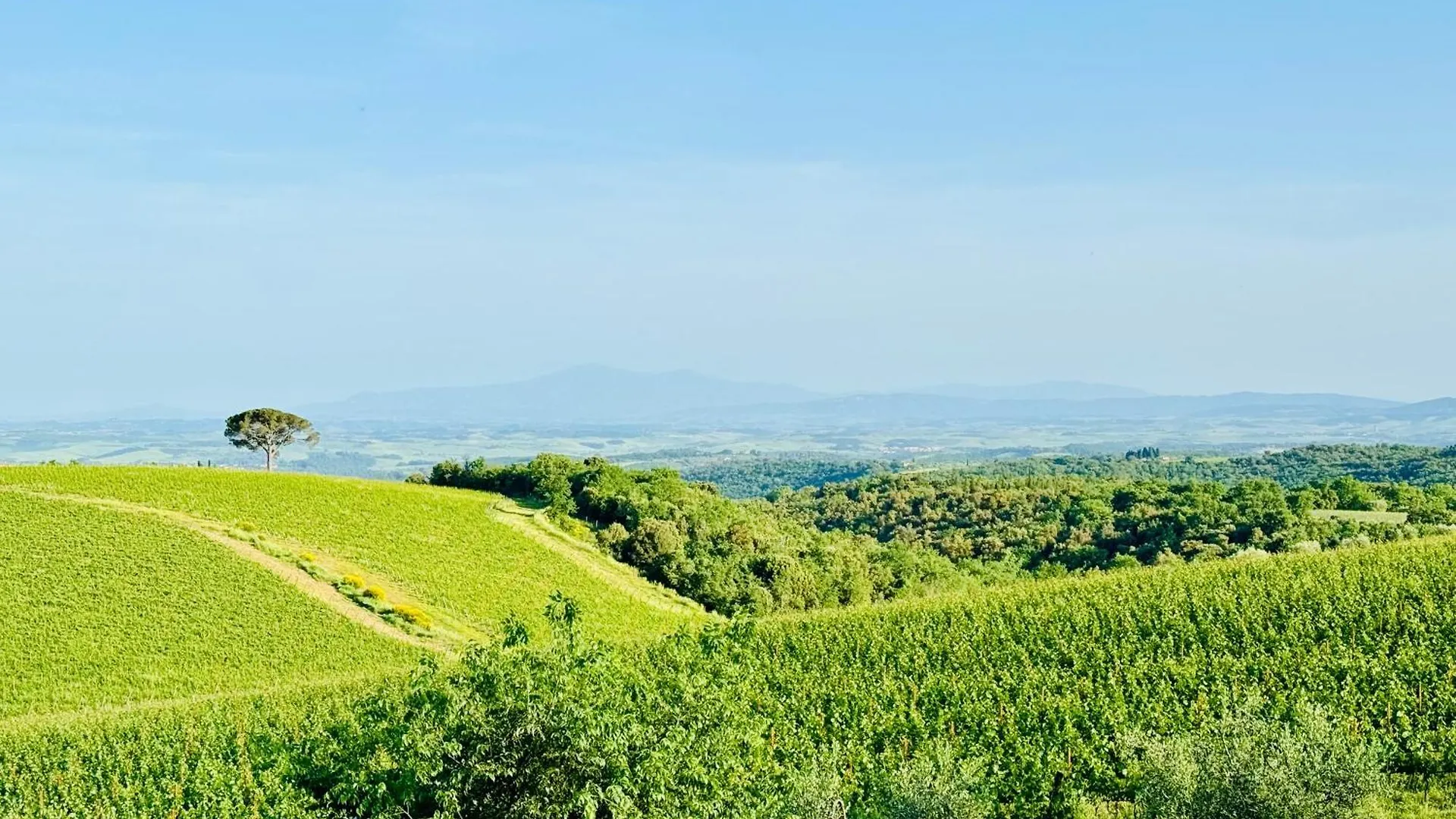 Villa Libertas Tuscan Hideaway San Sano