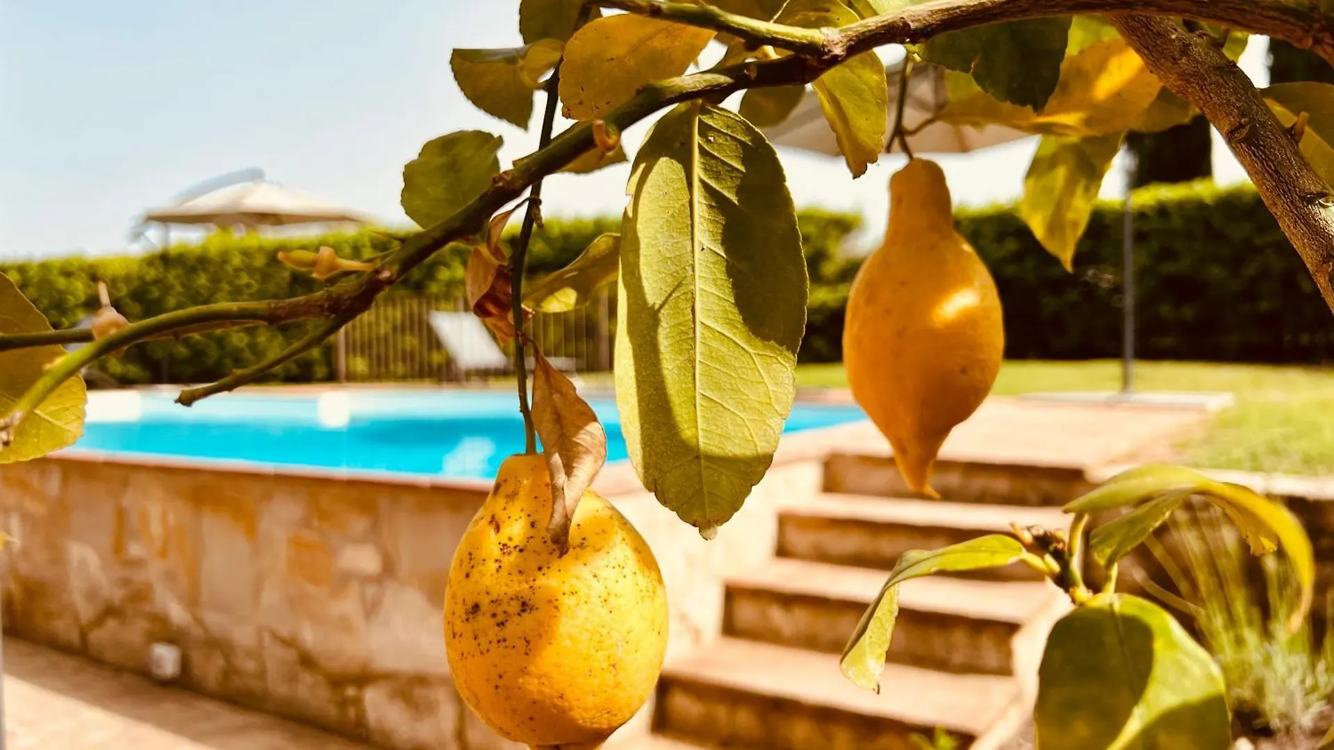 Villa Libertas Tuscan Hideaway San Sano Italy