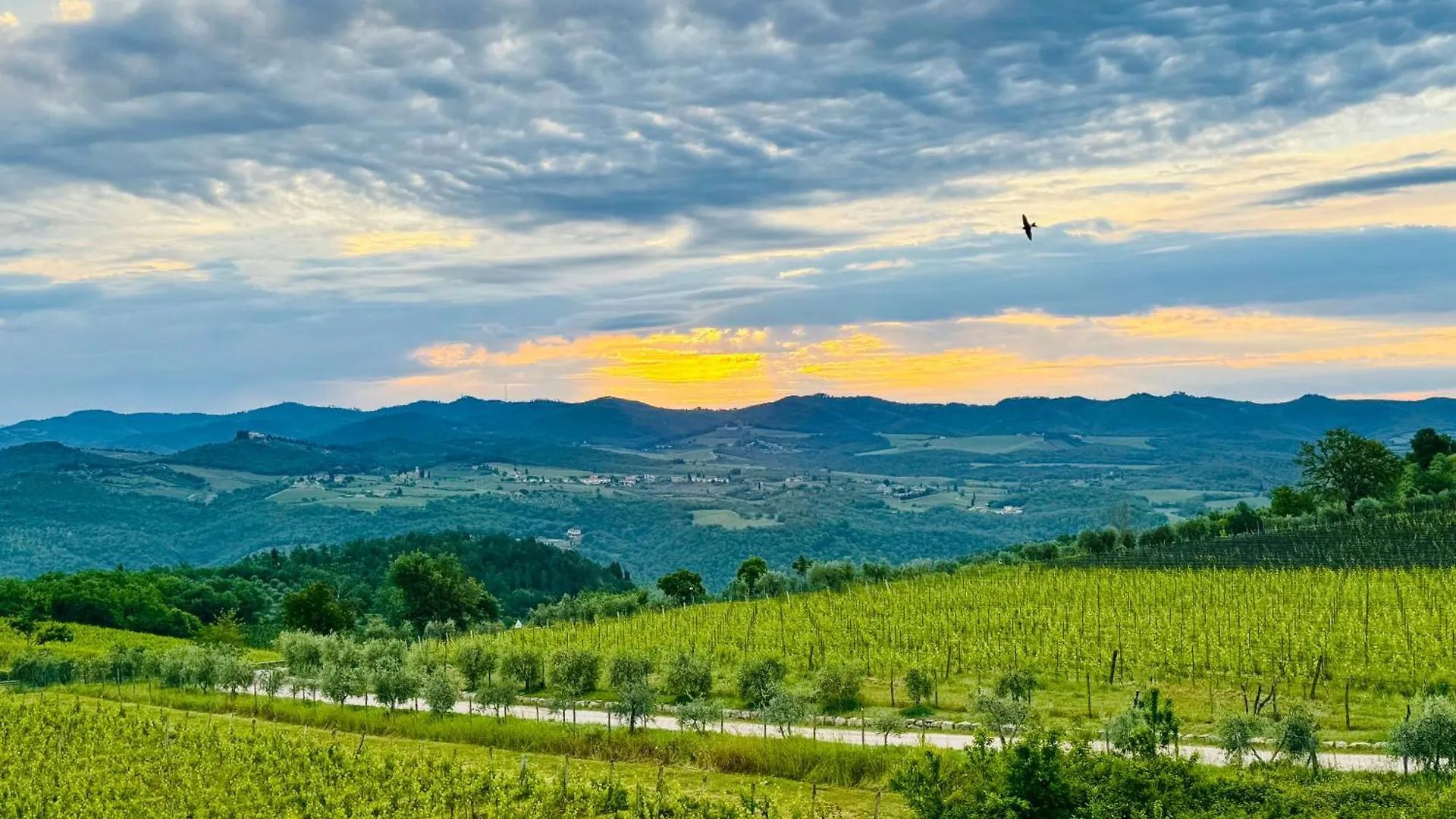 Libertas Tuscan Hideaway San Sano Villa